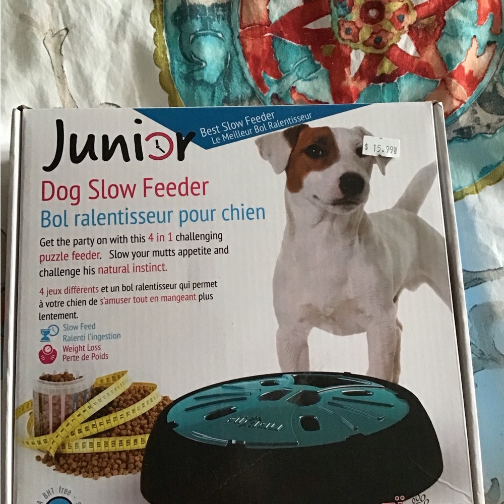 Dog Slow Feeder - Teal